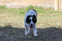 processed/68915448-dbff-45bc-bf34-f64a0a1a0c42/listing/221bf038-5853-4b92-b66c-945eb027c280/9abaea27-962b-427a-a7d2-3f62e40bb71c