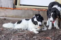 processed/68915448-dbff-45bc-bf34-f64a0a1a0c42/listing/221bf038-5853-4b92-b66c-945eb027c280/a0cc9670-d76a-41bf-a8bd-418ca7b7d6d0