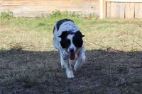 processed/68915448-dbff-45bc-bf34-f64a0a1a0c42/listing/221bf038-5853-4b92-b66c-945eb027c280/b9ed3937-53d5-46e4-bf20-228f68c79f49