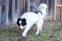 processed/68915448-dbff-45bc-bf34-f64a0a1a0c42/listing/221bf038-5853-4b92-b66c-945eb027c280/bbefc6db-af8a-470a-8467-87073623874d