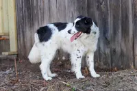 processed/68915448-dbff-45bc-bf34-f64a0a1a0c42/listing/221bf038-5853-4b92-b66c-945eb027c280/be111e63-fdf7-4ba3-a583-1abda8ea56aa