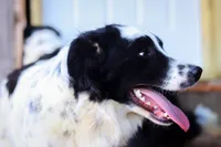 processed/68915448-dbff-45bc-bf34-f64a0a1a0c42/listing/221bf038-5853-4b92-b66c-945eb027c280/f9d98d1c-85b2-467f-86c9-779a093d8937