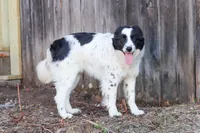 processed/68915448-dbff-45bc-bf34-f64a0a1a0c42/listing/221bf038-5853-4b92-b66c-945eb027c280/ffece01d-245b-4bc9-ace1-fc8cbfe741da