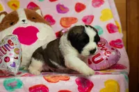 processed/68915448-dbff-45bc-bf34-f64a0a1a0c42/listing/27925fe1-be09-426d-b873-2b4a32e8d4a2/63762b12-783d-48fa-934c-b33d06598022