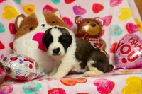 processed/68915448-dbff-45bc-bf34-f64a0a1a0c42/listing/27925fe1-be09-426d-b873-2b4a32e8d4a2/c50f3d64-bee4-4ddc-857a-21ee77e33075