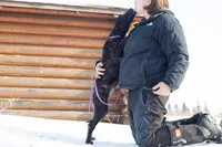 Andromeda , a female Belgian Malinois and Dutch Shepherd for sale in Minneapolis, MN – Photo 4 of 7