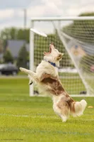 processed/68915448-dbff-45bc-bf34-f64a0a1a0c42/listing/48337bc9-1e32-4577-8cef-5cdba2f9bd7a/444e988c-2d2b-4ba7-85af-fac7af86b696