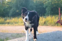 processed/68915448-dbff-45bc-bf34-f64a0a1a0c42/listing/48337bc9-1e32-4577-8cef-5cdba2f9bd7a/4fa536cb-65a1-4cf4-a276-7cca1da74bb6