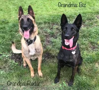 processed/68915448-dbff-45bc-bf34-f64a0a1a0c42/listing/79538b0a-1585-490a-870b-d18eb738ad08/10292a10-3844-4769-9589-128bff6cc149