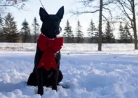 processed/68915448-dbff-45bc-bf34-f64a0a1a0c42/listing/79538b0a-1585-490a-870b-d18eb738ad08/b28828ae-0829-43df-aaa3-5859cbf58ae3