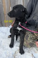 processed/68915448-dbff-45bc-bf34-f64a0a1a0c42/listing/7984e8e5-bf59-4317-9b6a-dfcd2eb98660/47e16a31-313c-4ca7-922d-f381478d37ff