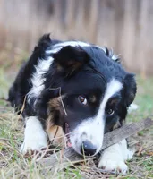 processed/68915448-dbff-45bc-bf34-f64a0a1a0c42/listing/842a435a-4080-4da5-a95c-4352669f5827/860642f7-ebb2-495d-9d2c-cbb8570a87e8