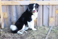 processed/68915448-dbff-45bc-bf34-f64a0a1a0c42/listing/842a435a-4080-4da5-a95c-4352669f5827/92f26153-90cd-45cc-bcc1-b2b004df416d