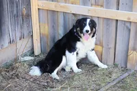 processed/68915448-dbff-45bc-bf34-f64a0a1a0c42/listing/842a435a-4080-4da5-a95c-4352669f5827/9b4d50d0-6b26-492a-9730-95a84df7186f