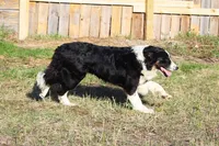 processed/68915448-dbff-45bc-bf34-f64a0a1a0c42/listing/842a435a-4080-4da5-a95c-4352669f5827/ae44f0f6-a499-4428-9acc-1173c4e2e1f7