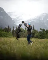 Coyote , a male Belgian Malinois and Border Collie for sale in Minneapolis, MN – Photo 3 of 8