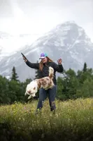 Coyote , a male Belgian Malinois and Border Collie for sale in Minneapolis, MN – Photo 8 of 8