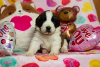 processed/68915448-dbff-45bc-bf34-f64a0a1a0c42/listing/a458ee9e-d22b-49a7-823e-dee3756a08fd/bd9c3278-86e6-4367-a92a-a87036eb3bfb