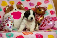 processed/68915448-dbff-45bc-bf34-f64a0a1a0c42/listing/a458ee9e-d22b-49a7-823e-dee3756a08fd/d13be693-efdd-43bb-9bad-26eedd831ab1