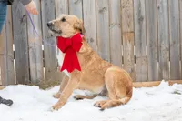 processed/68915448-dbff-45bc-bf34-f64a0a1a0c42/listing/a48a15ae-a4ab-40da-9050-0baae05825df/2d2d7b6e-1e35-4dd1-a329-74259dca0b27