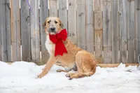 processed/68915448-dbff-45bc-bf34-f64a0a1a0c42/listing/a48a15ae-a4ab-40da-9050-0baae05825df/951d0252-f28d-482d-8afa-58fe95dabbed