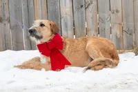 processed/68915448-dbff-45bc-bf34-f64a0a1a0c42/listing/a48a15ae-a4ab-40da-9050-0baae05825df/b7e1f7d0-74b0-4a56-9739-ddb92cf6d462