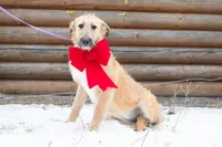 processed/68915448-dbff-45bc-bf34-f64a0a1a0c42/listing/b056652b-6157-46a5-b6b9-1c181b50de5a/d2a69170-2441-44f7-9e57-c79f26aa1563