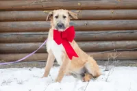 processed/68915448-dbff-45bc-bf34-f64a0a1a0c42/listing/b056652b-6157-46a5-b6b9-1c181b50de5a/fa8c0285-f2f6-4b29-b7b6-08903b8c4a67