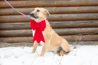 processed/68915448-dbff-45bc-bf34-f64a0a1a0c42/listing/b056652b-6157-46a5-b6b9-1c181b50de5a/fd0e3a44-64ce-42f0-80c5-1a24ba7f5369