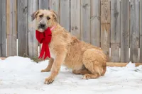 processed/68915448-dbff-45bc-bf34-f64a0a1a0c42/listing/bc7b1374-8323-4718-8dc7-9bc1e67d542a/80f773b8-8df7-4645-a883-ad2382873ef0