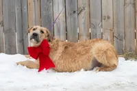 processed/68915448-dbff-45bc-bf34-f64a0a1a0c42/listing/bc7b1374-8323-4718-8dc7-9bc1e67d542a/da5db12b-9a89-45a1-a2e8-7e21ff4395cb