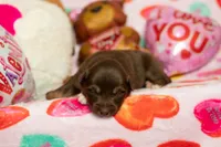 processed/68915448-dbff-45bc-bf34-f64a0a1a0c42/listing/cabc4e96-8aeb-4023-90cc-d2b983661550/302f4fd4-a902-4408-932f-b7d217677b7b