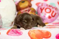 processed/68915448-dbff-45bc-bf34-f64a0a1a0c42/listing/cabc4e96-8aeb-4023-90cc-d2b983661550/71201da8-0a55-422a-b6f9-6688fb6652b6