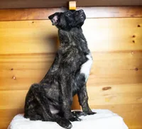 processed/68915448-dbff-45bc-bf34-f64a0a1a0c42/listing/d33d9ca8-ea8a-4f8a-ad46-e28c9442e8d2/0ba359b2-5c2f-414b-93d3-7e8f958f81ee