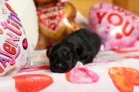 processed/68915448-dbff-45bc-bf34-f64a0a1a0c42/listing/fd6ca320-7399-45b1-8dc4-588f46d0c217/88c43781-6053-4361-8d6b-1bd0cd0cfdc1