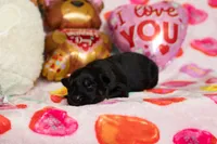 processed/68915448-dbff-45bc-bf34-f64a0a1a0c42/listing/fd6ca320-7399-45b1-8dc4-588f46d0c217/ad6d78f8-01b2-4889-874d-9ed3d9adea7a