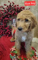 processed/6892f091-d2af-4e27-a730-51b53abcdf2a/listing/0662242a-2018-4f8e-a8e8-0297f88acb26/b2070088-0d9c-47a6-b6f4-cc54826200f8