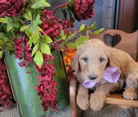 processed/6892f091-d2af-4e27-a730-51b53abcdf2a/listing/38b50fea-77bc-48fa-bc1b-11212418c52d/ee17d0c9-19c5-44d1-a34e-d6c59502aaf3