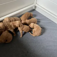 processed/689e60fd-9883-4fc6-9bb6-80854f0c1dca/facility/286907c7-3467-4ad9-8f3e-f5acdce71e67