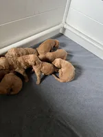 processed/689e60fd-9883-4fc6-9bb6-80854f0c1dca/facility/286907c7-3467-4ad9-8f3e-f5acdce71e67