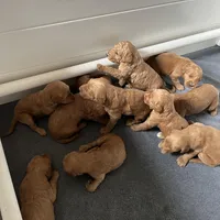 processed/689e60fd-9883-4fc6-9bb6-80854f0c1dca/facility/4c78651b-751d-4bf0-9396-d3949768a912