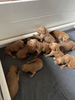 processed/689e60fd-9883-4fc6-9bb6-80854f0c1dca/facility/4c78651b-751d-4bf0-9396-d3949768a912