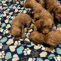 processed/689e60fd-9883-4fc6-9bb6-80854f0c1dca/facility/6c6f1def-ab1b-4613-914e-40a204d5437f