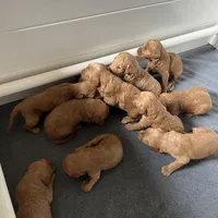 processed/689e60fd-9883-4fc6-9bb6-80854f0c1dca/facility/e4a65bdd-bb69-4b97-b494-28f2dd05454c