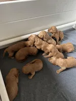 processed/689e60fd-9883-4fc6-9bb6-80854f0c1dca/facility/e4a65bdd-bb69-4b97-b494-28f2dd05454c