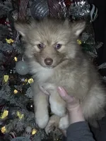 processed/689fa8cd-cd97-4fcb-ac33-c18d8c76c3a7/listing/1da98c1d-6382-4c6f-8731-4d71dc2895ef/6009232d-e2e0-435f-ab75-eb74866b6e47