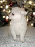 processed/689fa8cd-cd97-4fcb-ac33-c18d8c76c3a7/listing/49754a08-5f3c-49b7-b6dd-6c799ecb7f21/31efd9c8-b3a1-4dc4-aa0f-185f56f7ade7