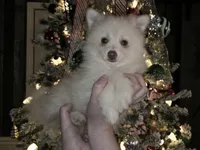 processed/689fa8cd-cd97-4fcb-ac33-c18d8c76c3a7/listing/49754a08-5f3c-49b7-b6dd-6c799ecb7f21/44ef0979-d224-481c-b0d1-311efd0b8697