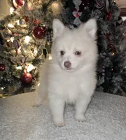 processed/689fa8cd-cd97-4fcb-ac33-c18d8c76c3a7/listing/49754a08-5f3c-49b7-b6dd-6c799ecb7f21/5b890c7b-8c93-4fdb-926f-99aa8bb17152