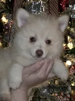 processed/689fa8cd-cd97-4fcb-ac33-c18d8c76c3a7/listing/49754a08-5f3c-49b7-b6dd-6c799ecb7f21/b460c76f-37f0-4f15-99c1-5b61d4a266dd